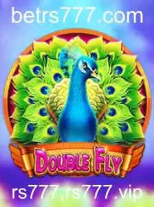 Explorando o Mundo do Jogo DoubleFly: Um Guia Completo
